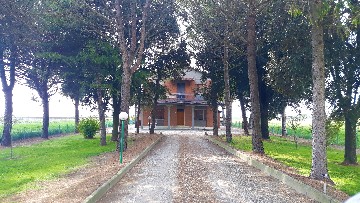 agenzia immobiliare ravenna affitti case vendita