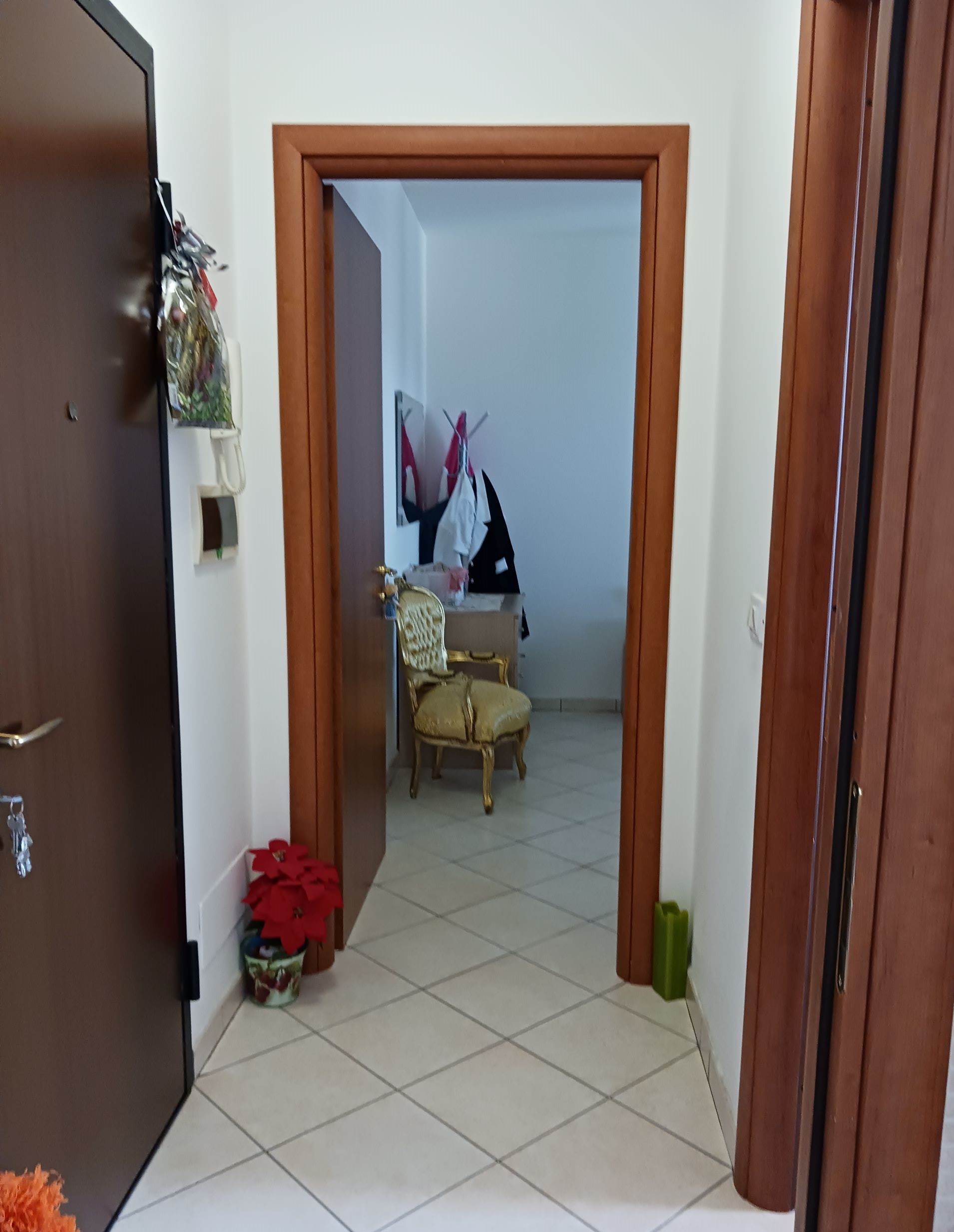 agenzia immobiliare ravenna affitti case vendita